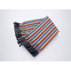 40pcs in Row Dupont Cable 20cm 2.54mm female